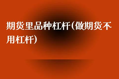 期货里品种杠杆(做期货不用杠杆)_https://www.yuzhengshanghai.com_期货百科_第1张
