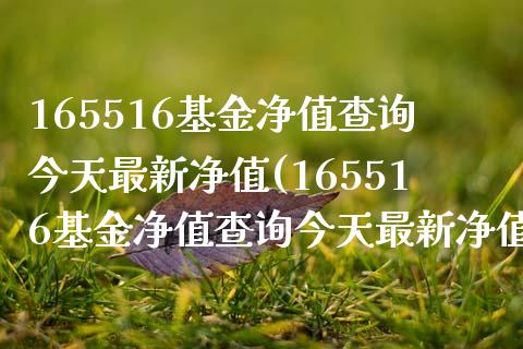 165516基金净值查询今天最新净值(165516基金净值查询今天最新净值表)_https://www.yuzhengshanghai.com_期货百科_第1张